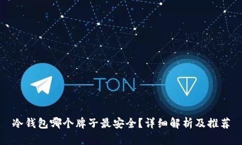 冷钱包哪个牌子最安全?详细解析及推荐