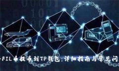 如何将FIL币提币到TP钱包:详细指南与常见问题解