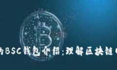 TP钱包中的BSC钱包介绍:理解区块链网络的不同