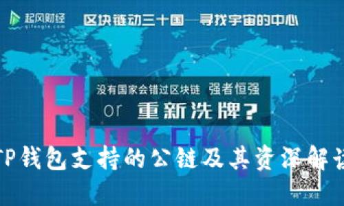 TP钱包支持的公链及其资深解读