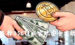 如何在TP钱包中选择BSC链以实现安全高效的数字资