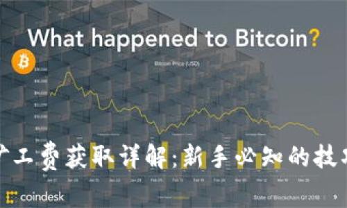 TP钱包矿工费获取详解：新手必知的技巧与经验