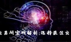 币圈十大交易所官网解析:选择最佳交易所的指