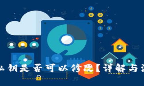TP钱包私钥是否可以修改?详解与注意事项