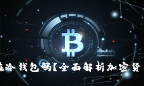 任何币都可以放在冷钱包吗?全面解析加密货币冷钱包的适用性