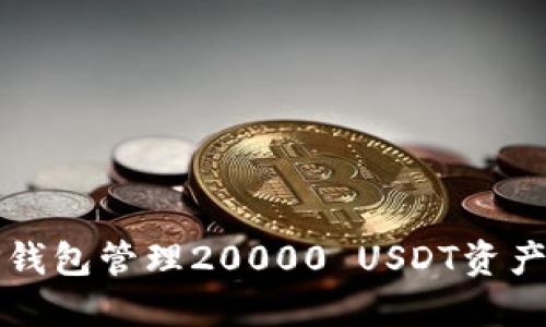 如何使用TP钱包管理20000 USDT资产的完整指南