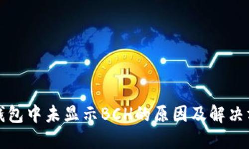 TP钱包中未显示BCH的原因及解决方法