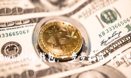 如何下载Ownbit冷钱包:一步步指南与常见问题解答