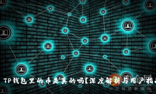 : TP钱包里的币是真的吗?深度解析与用户指南