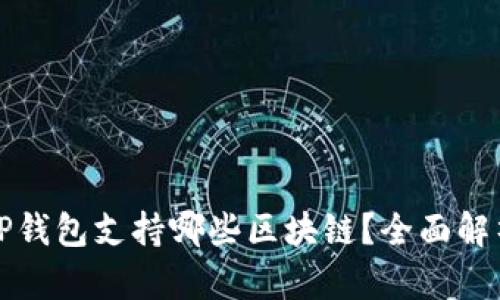 TP钱包支持哪些区块链?全面解析