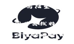 冷钱包USDT应用程序的优缺点与选择指南 / gua