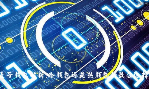麦子钱包解析:冷钱包还是热钱包的最佳选择?