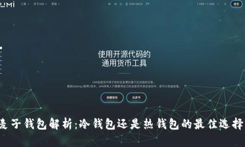 麦子钱包解析:冷钱包还是热钱包的最佳选择?