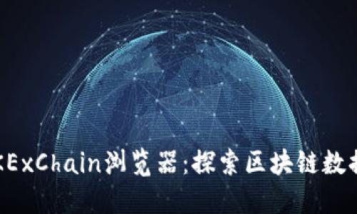 全面解读OKExChain浏览器:探索区块链数据的完美工具