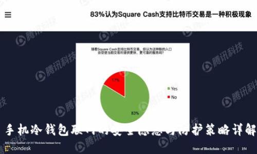 手机冷钱包联网的安全隐患与防护策略详解