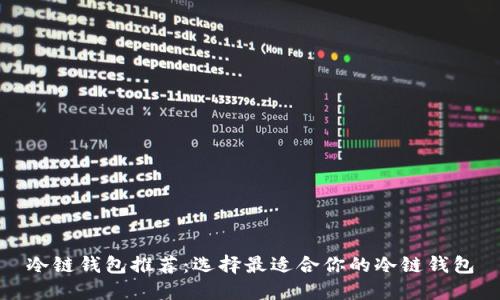 冷链钱包推荐：选择最适合你的冷链钱包